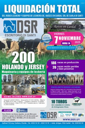 DSR AFICHE REMATE 7 NOVIEMBRE 2025_web