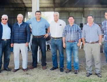 Los 41 toros vendidos hicieron 1.970 dólares…