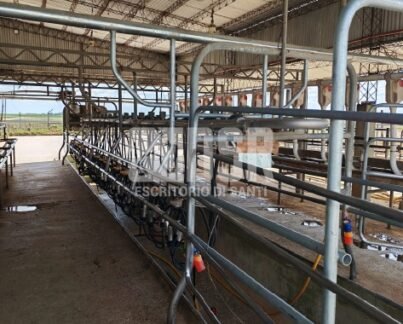 Maquina de ordeñar West falia 3