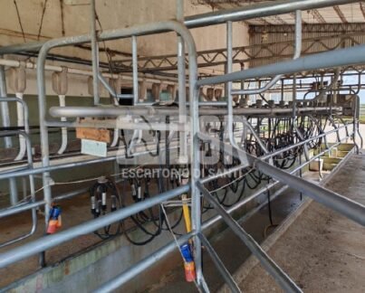 Maquina de ordeñar West falia