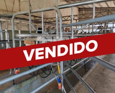 ref 3 lechería