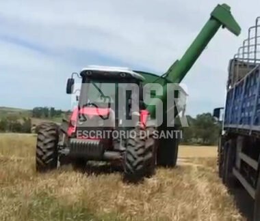 Massey ferguson 4297