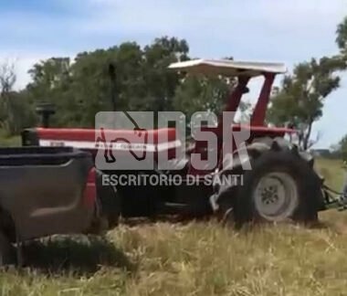 Massey ferguson 295
